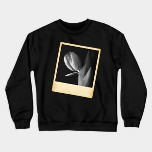 Tulip Photo Crewneck Sweatshirt